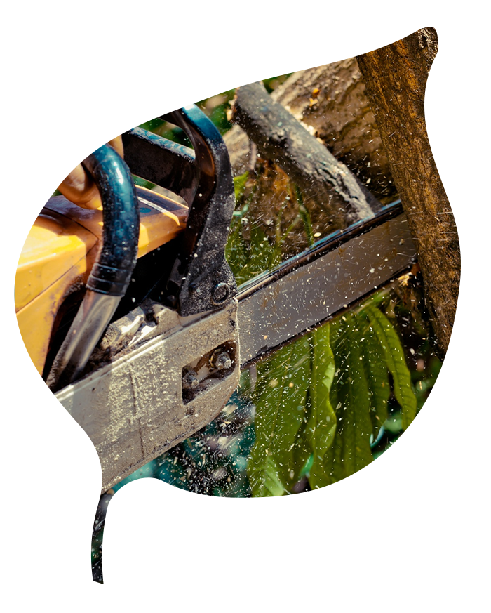 Aménagement de jardin avec terrasse par NC Paysages