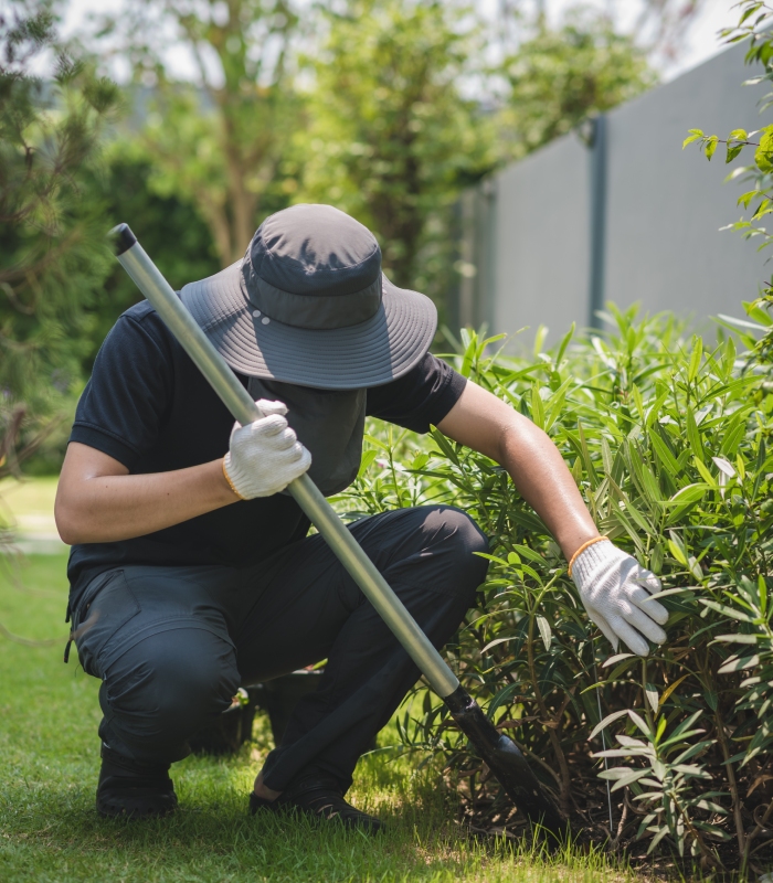 Jardinier en train d’entretenir des arbustes dans un jardin paysager