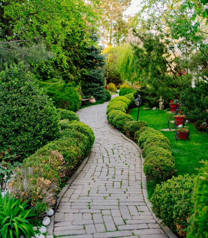 Allée pavée au cœur d’un jardin paysager entretenu avec massifs et arbustes taillés