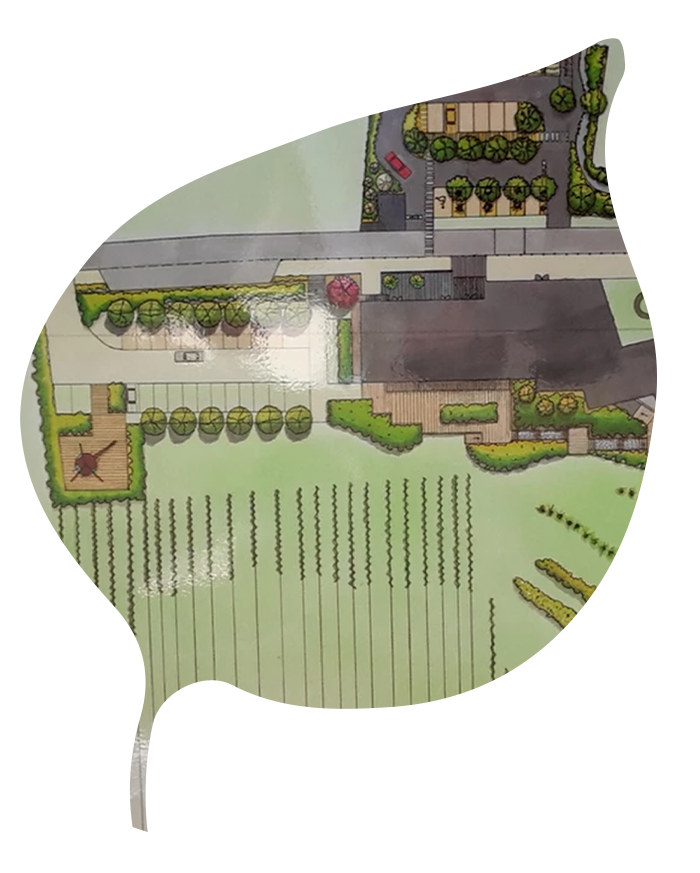 Aménagement de jardin avec terrasse par NC Paysages